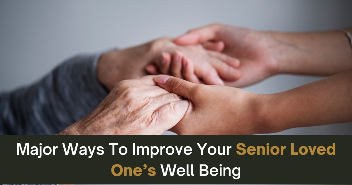 Major Ways To Improve Your Senior Loved One’s Well Being